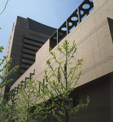 事業領域